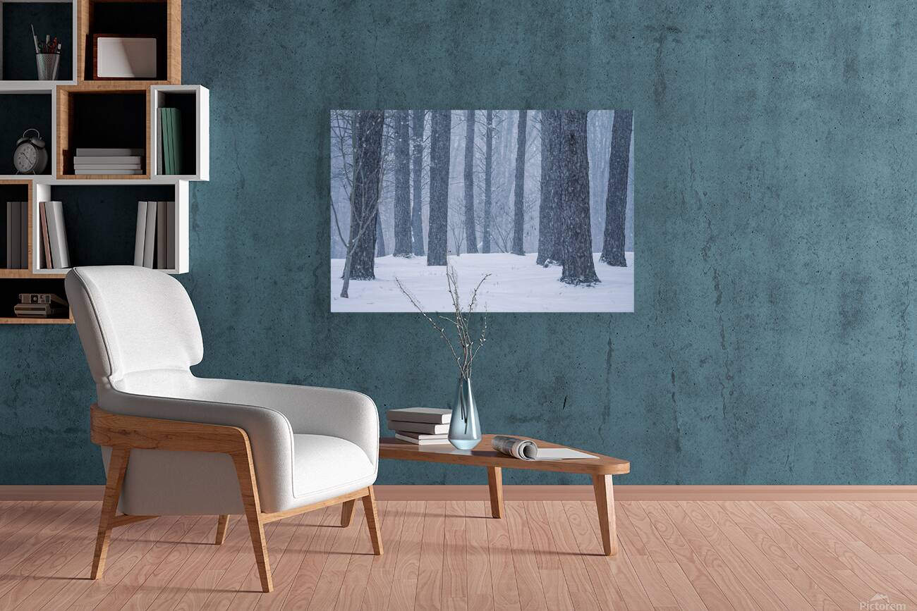 April Snow Reproduction