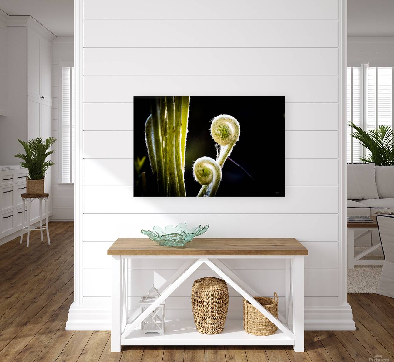 Emerging Reproduction
