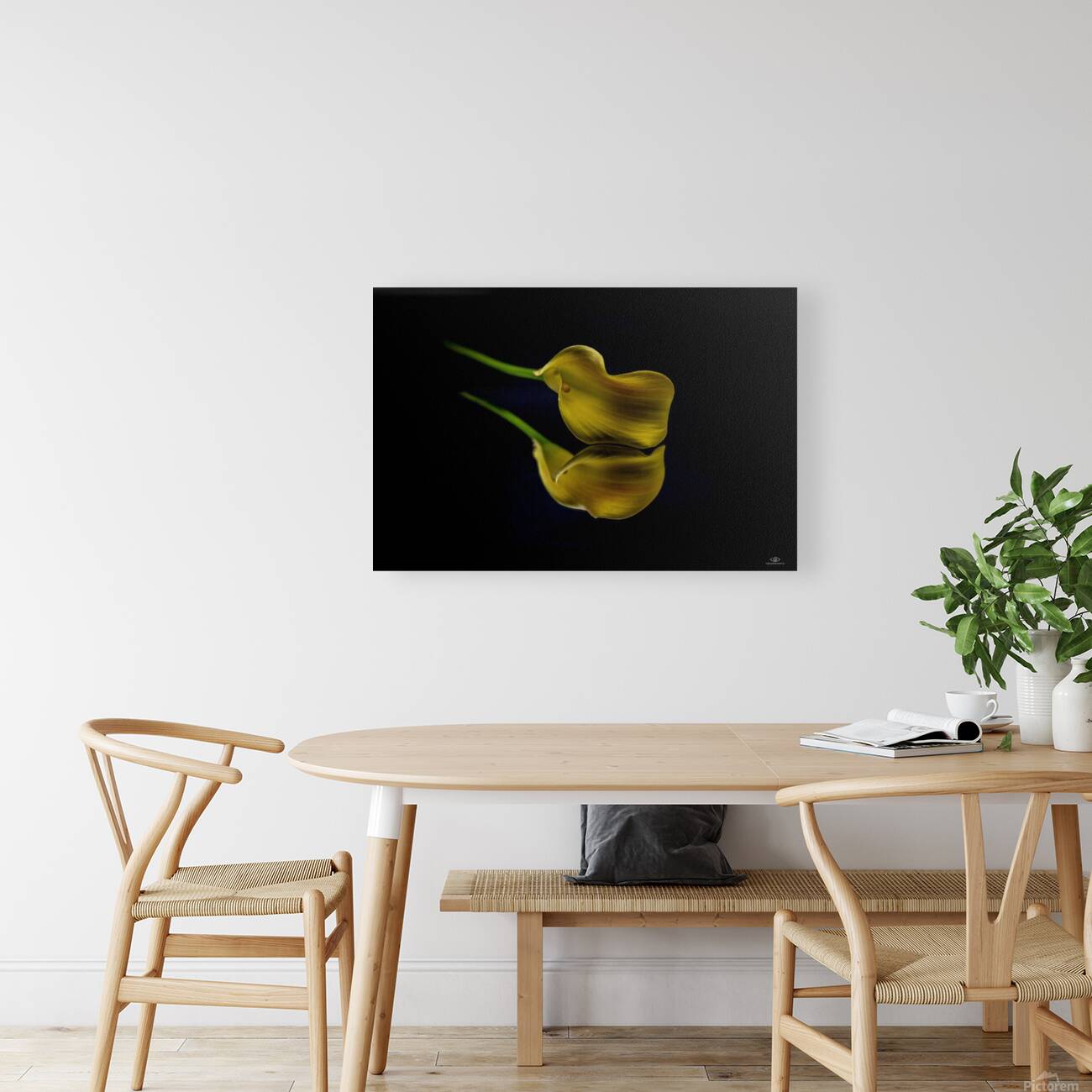 Lily Reproduction