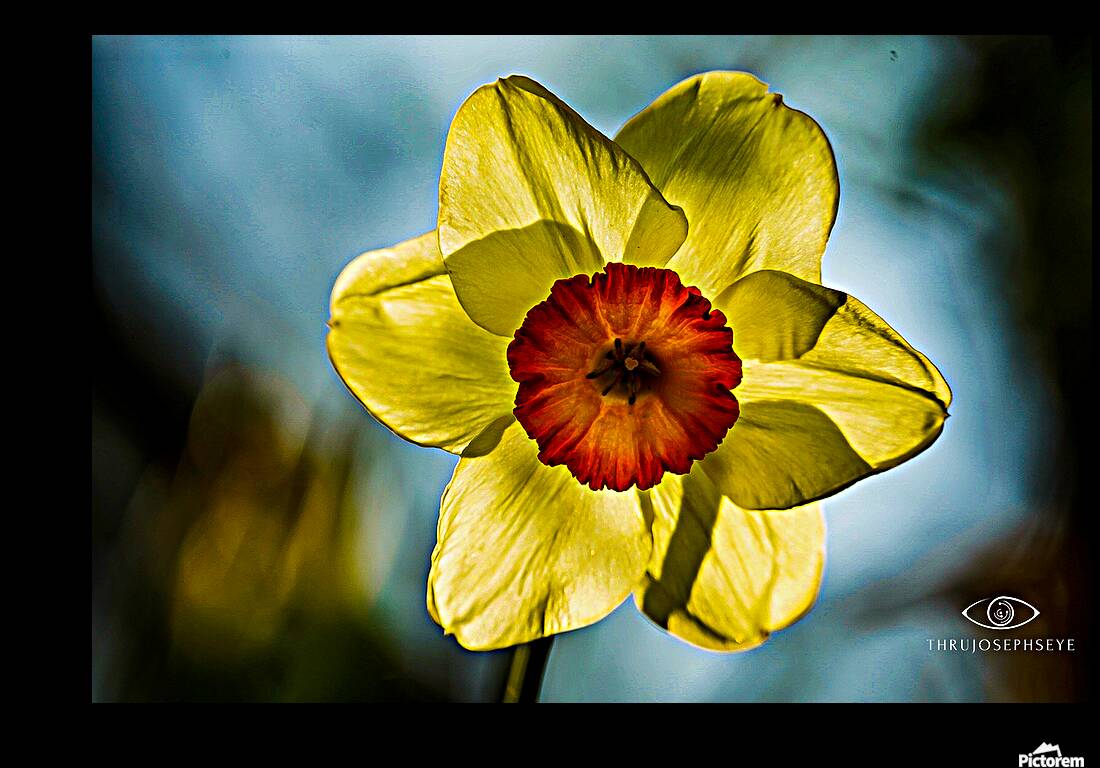 Spring Reproduction