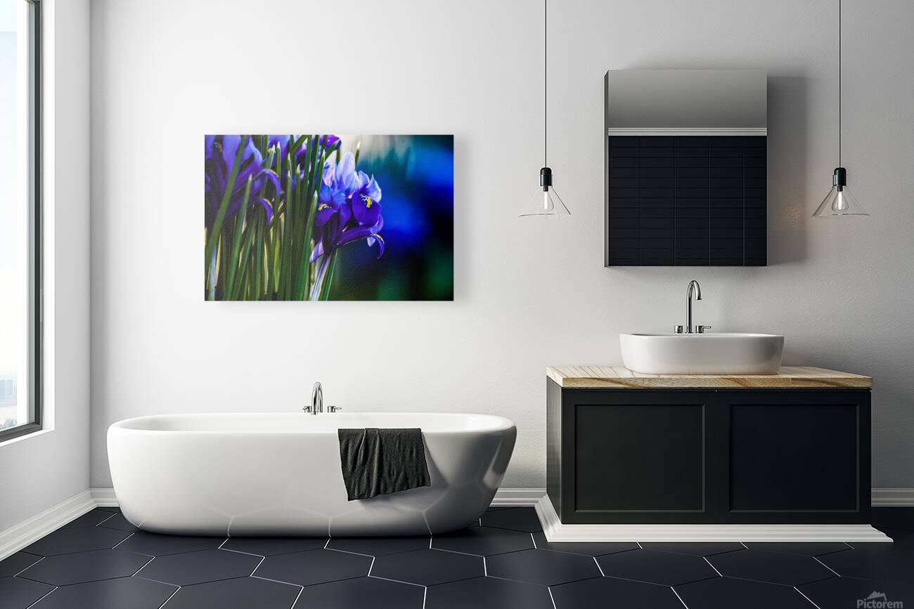 Spring Colour Reproduction