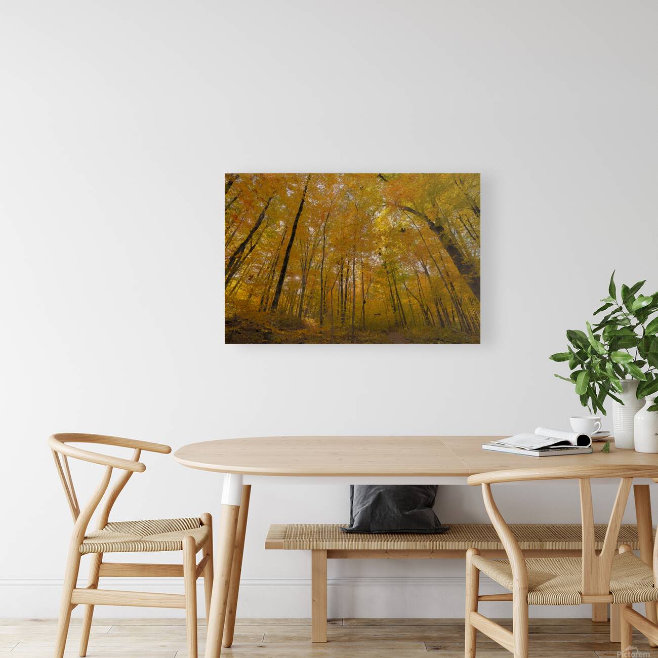 Autumn Color Reproduction