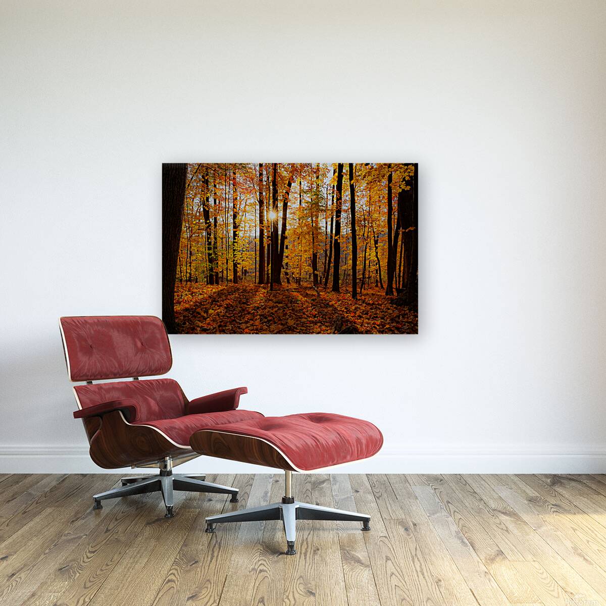 Autumn Sun Reproduction