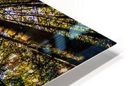 Tree Farm HD Metal print