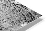 Dreaming HD Metal print
