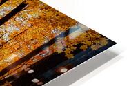Autumn Sun HD Metal print