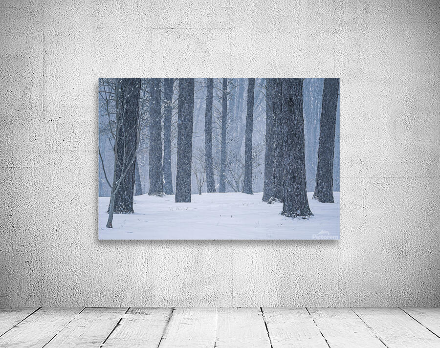 April Snow Wall Preview