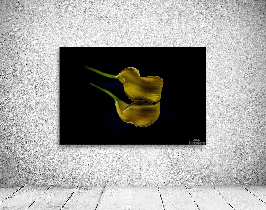 Lily Wall Preview
