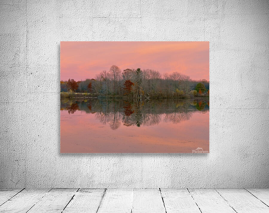 November Pink Wall Preview