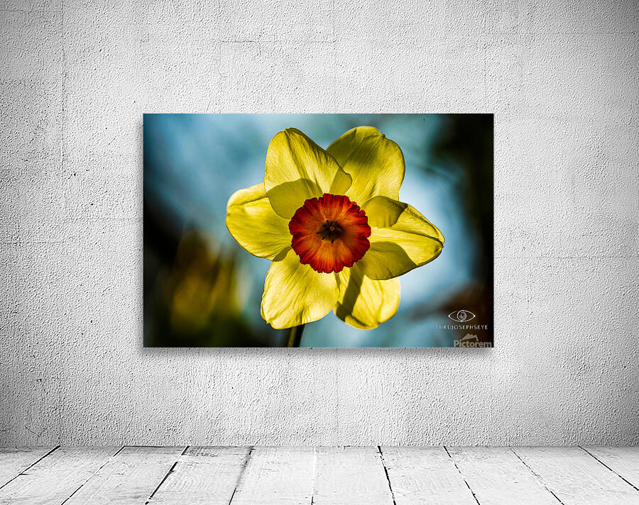 Spring Wall Preview