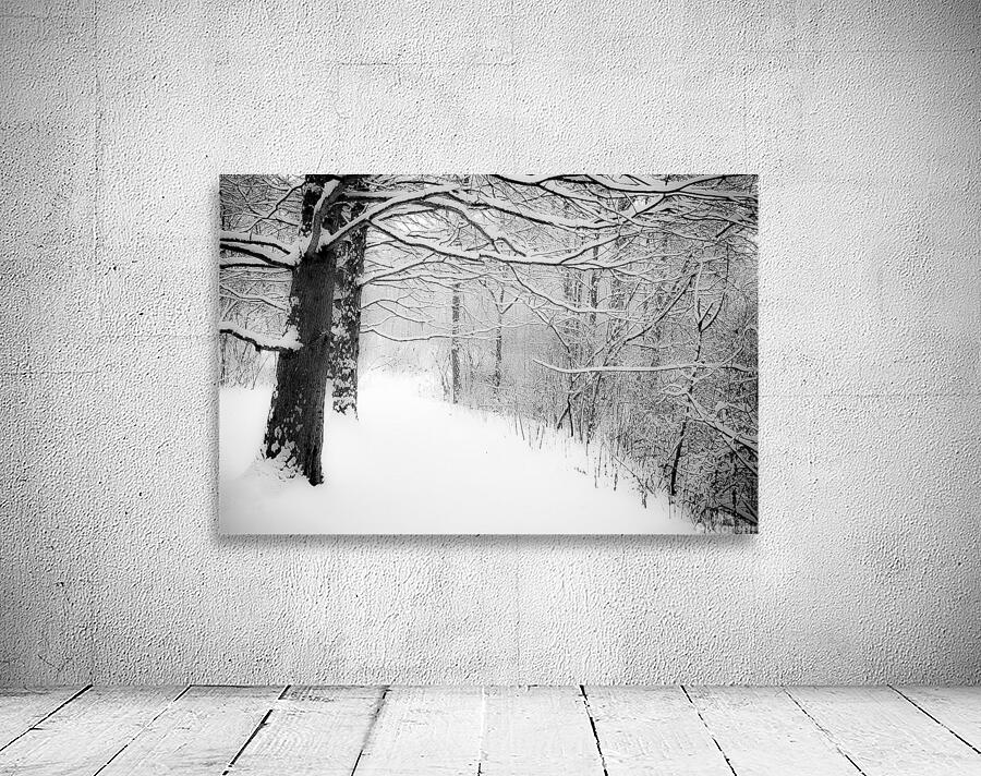 Dreaming Wall Preview