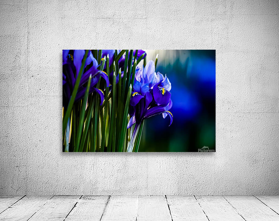 Spring Colour Wall Preview