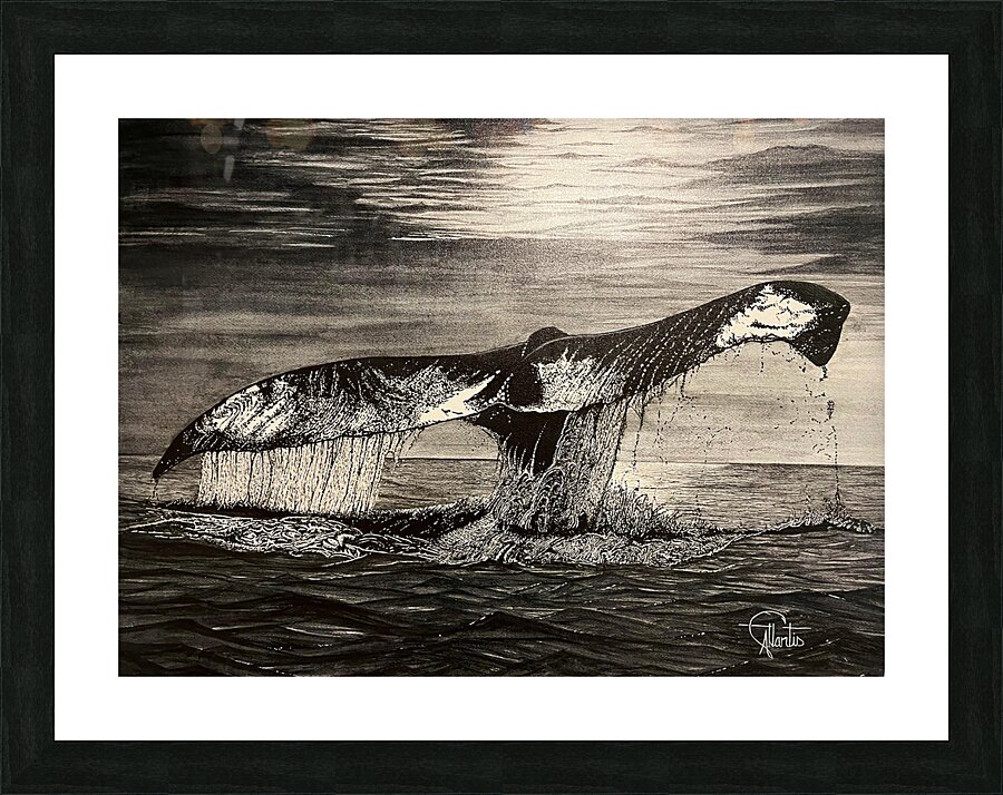 WHALE TAIL Picture Frame print