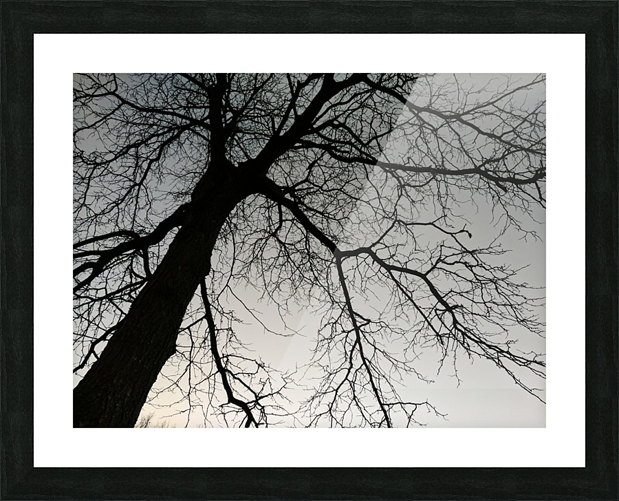 Free limbs Picture Frame print