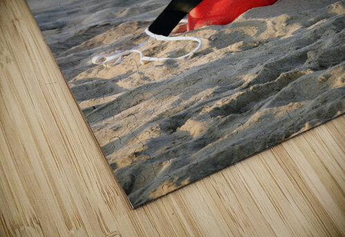 Lifeguard buoy Michael Geyer puzzle