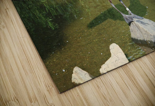 Goose spreading wings Michael Geyer puzzle