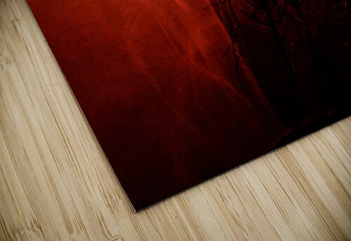 Red light at night Michael Geyer puzzle