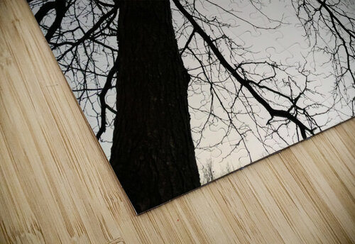 Free limbs Michael Geyer puzzle