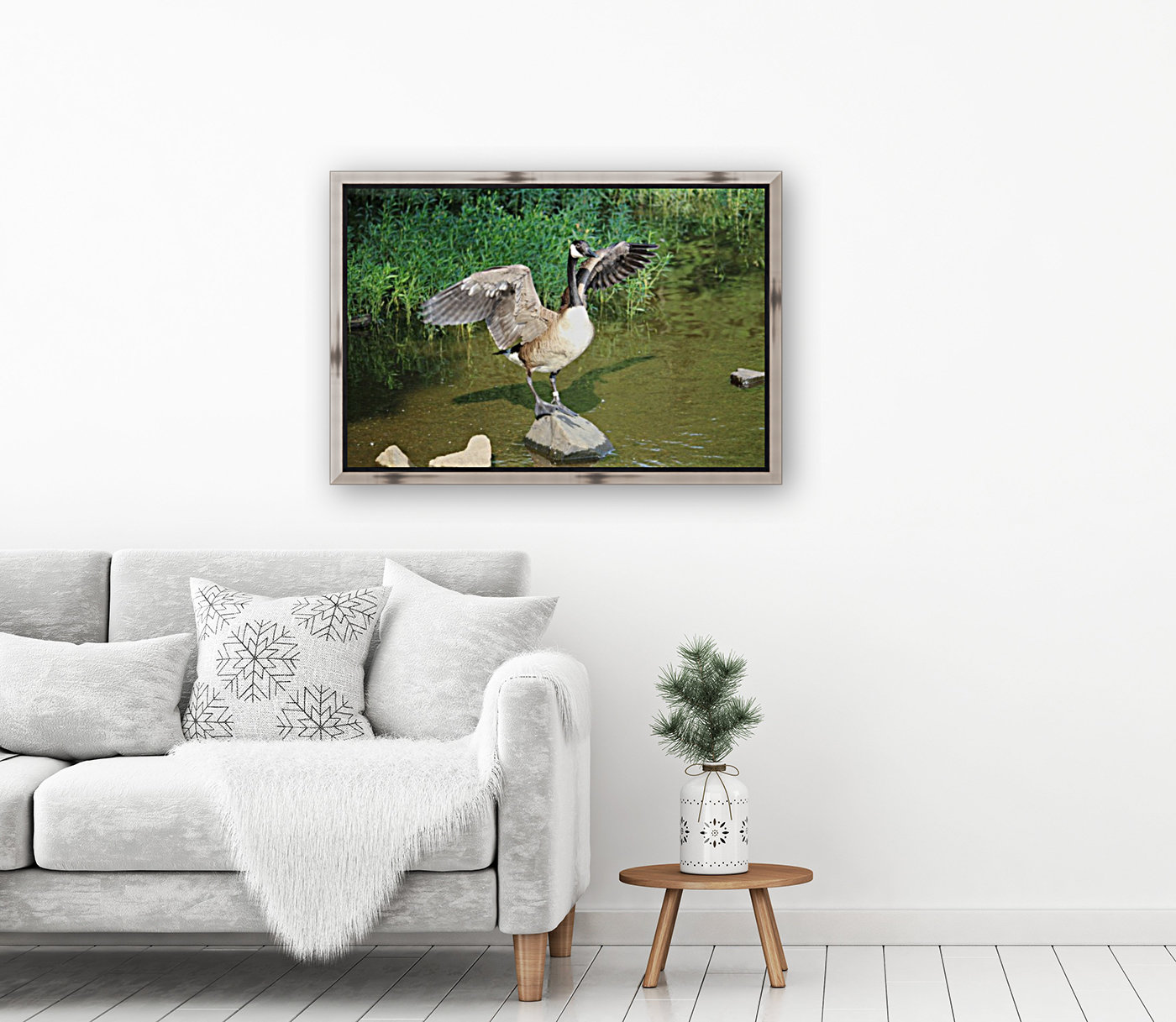 Goose spreading wings Reproduction