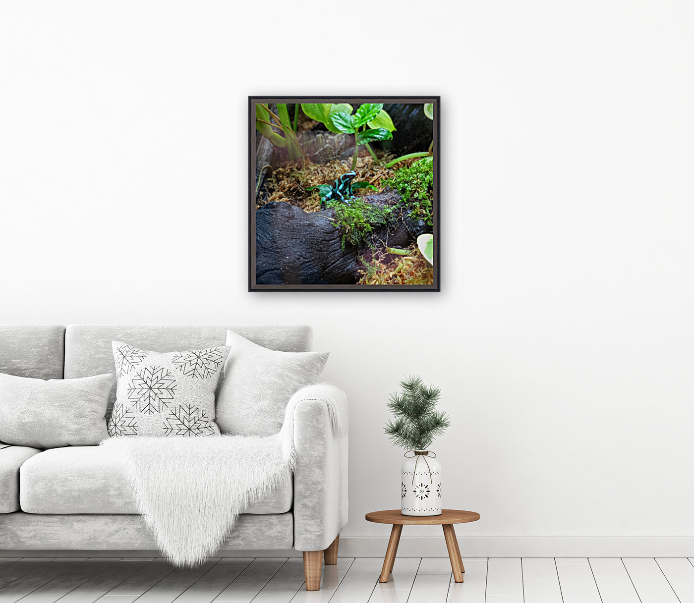 Blue frog Reproduction