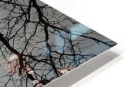Free limbs HD Metal print