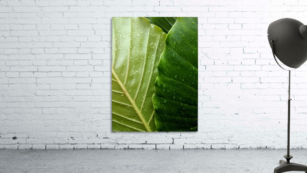 Green leaves Wall Preview