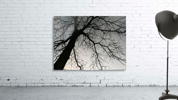 Free limbs Wall Preview