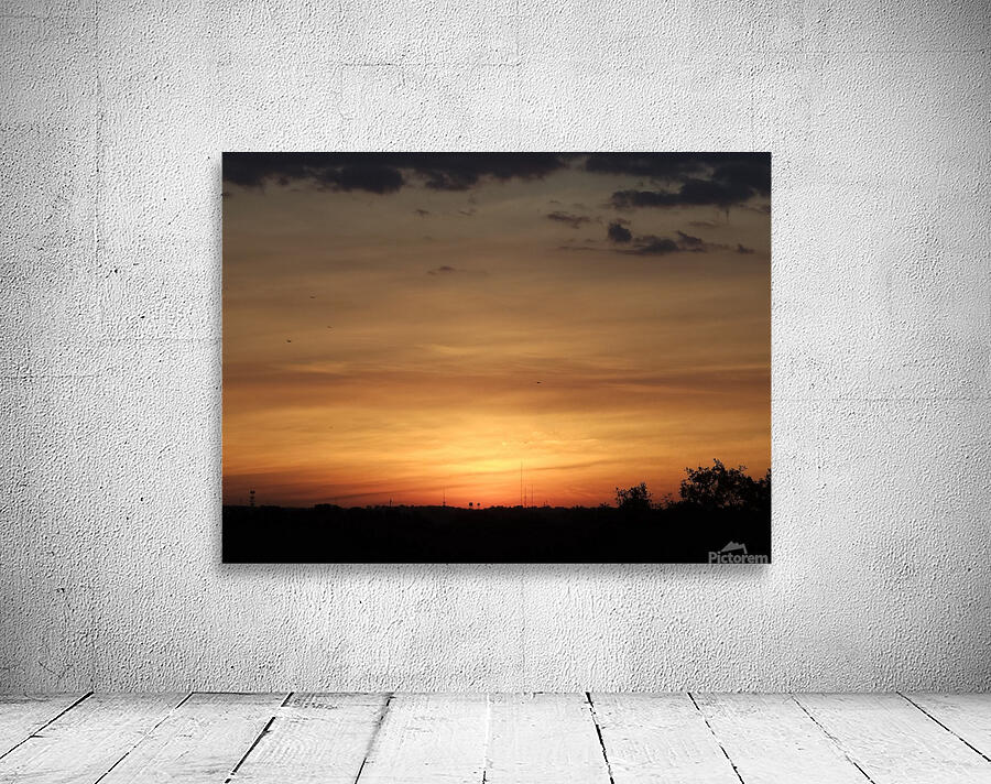 Sunrise over trees Wall Preview