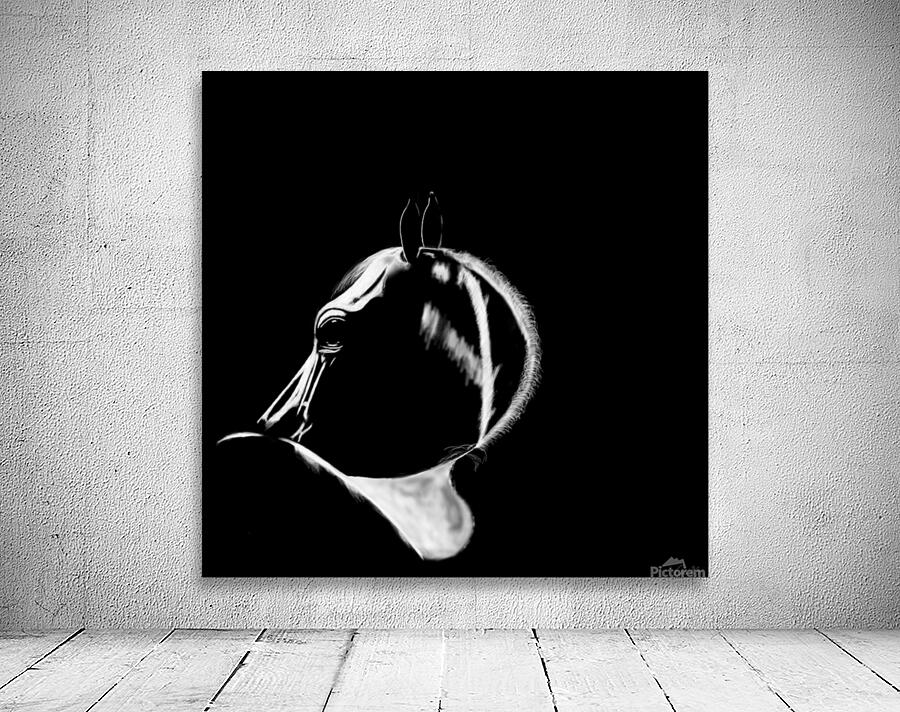 Cheval Wall Preview