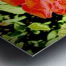 Pop Flower Metal print