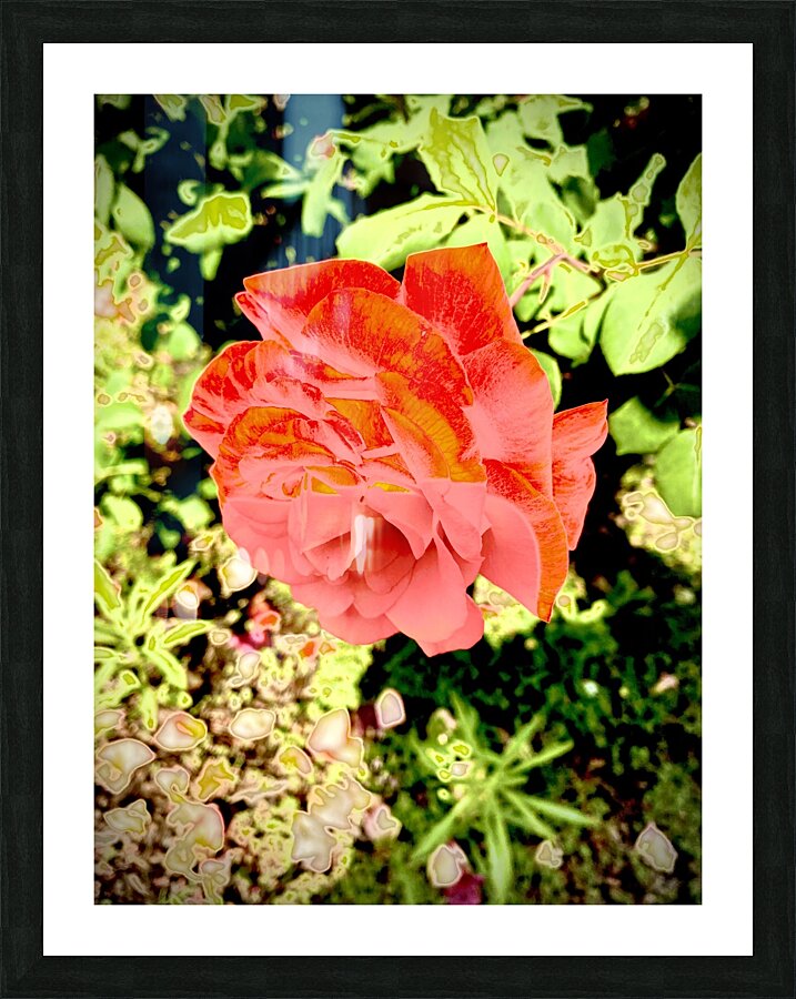 Pop Flower Picture Frame print