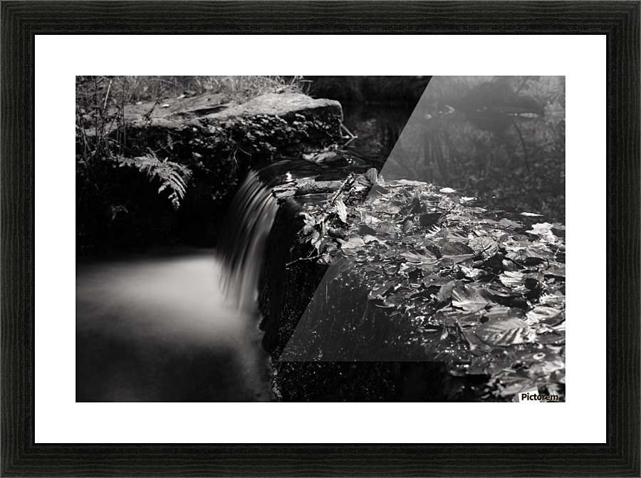 Still...ish Picture Frame print