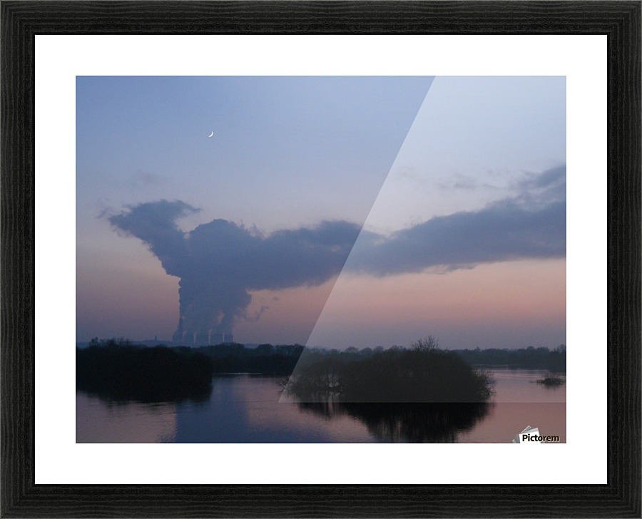 Peacock towers Picture Frame print