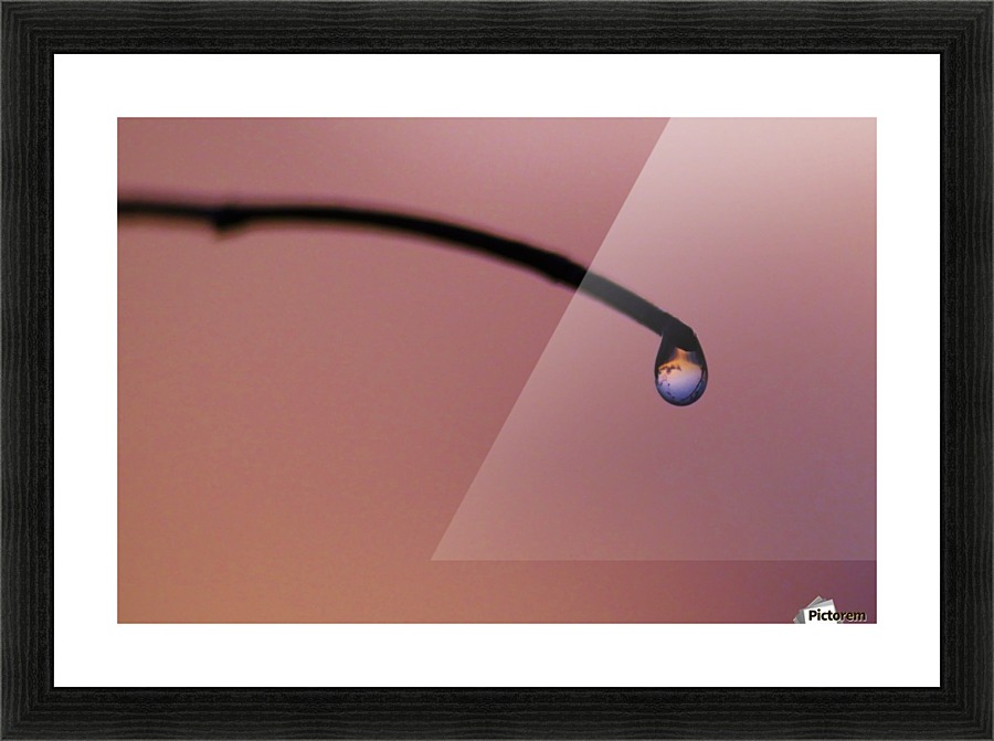 Lone drop Picture Frame print