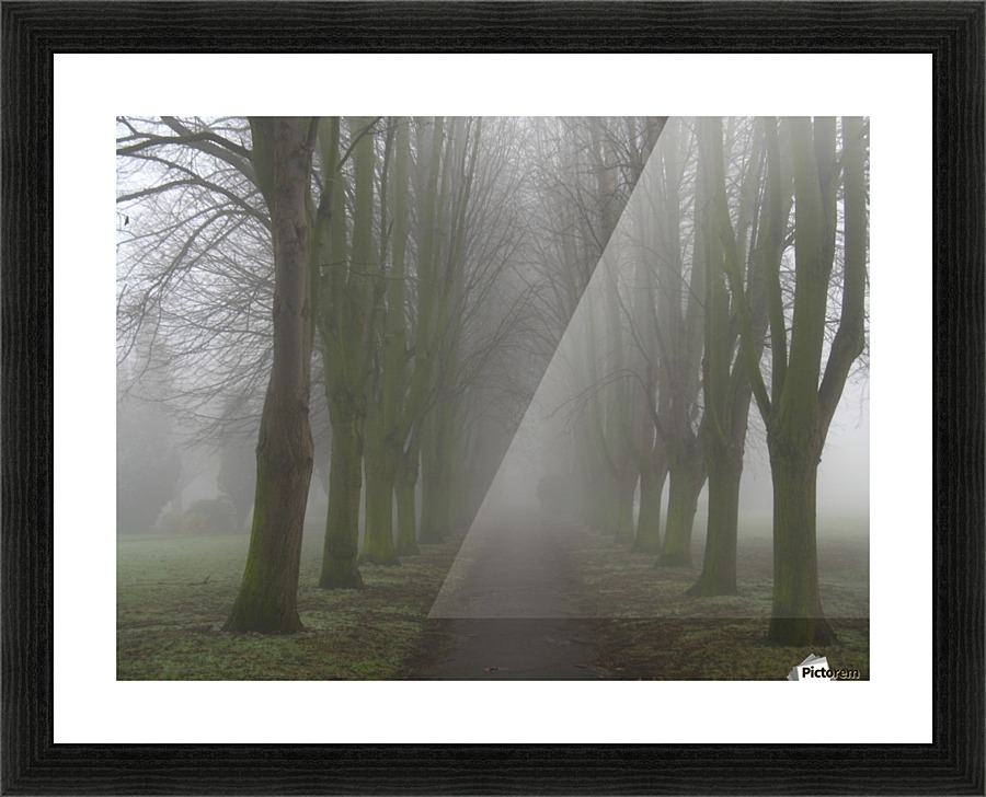 Misty avenue Picture Frame print