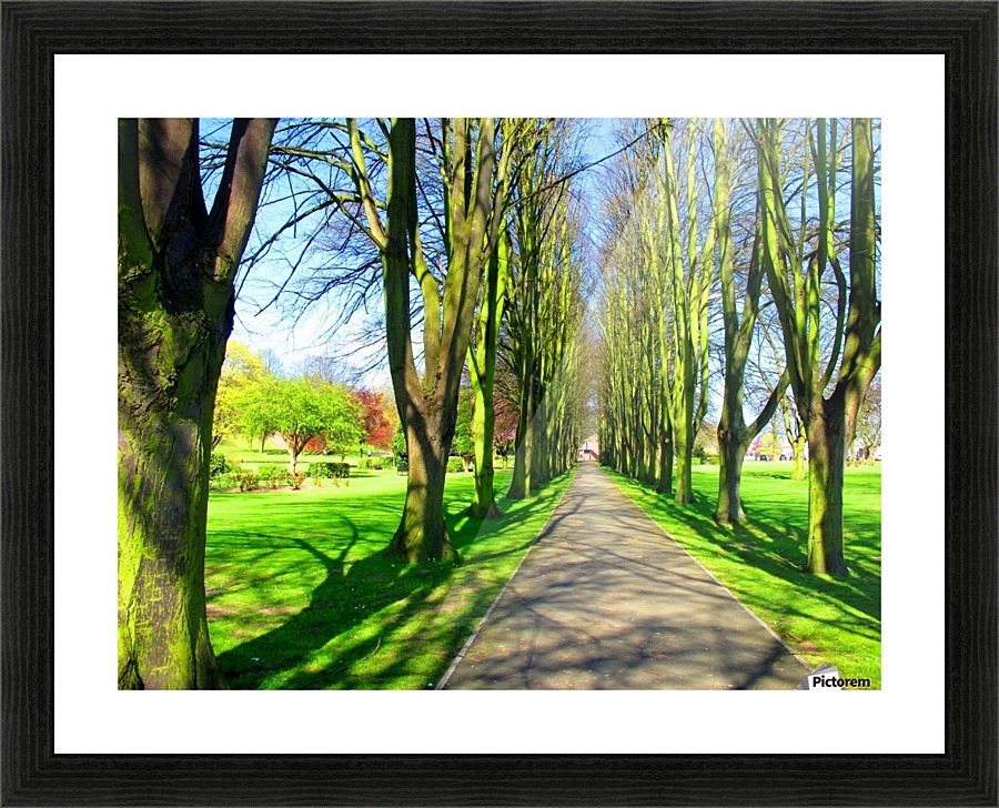 Summer Avenue Picture Frame print