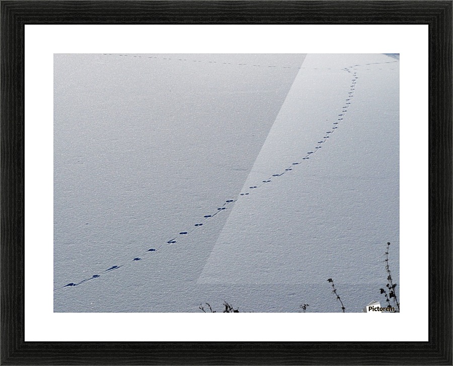 Tracks Picture Frame print