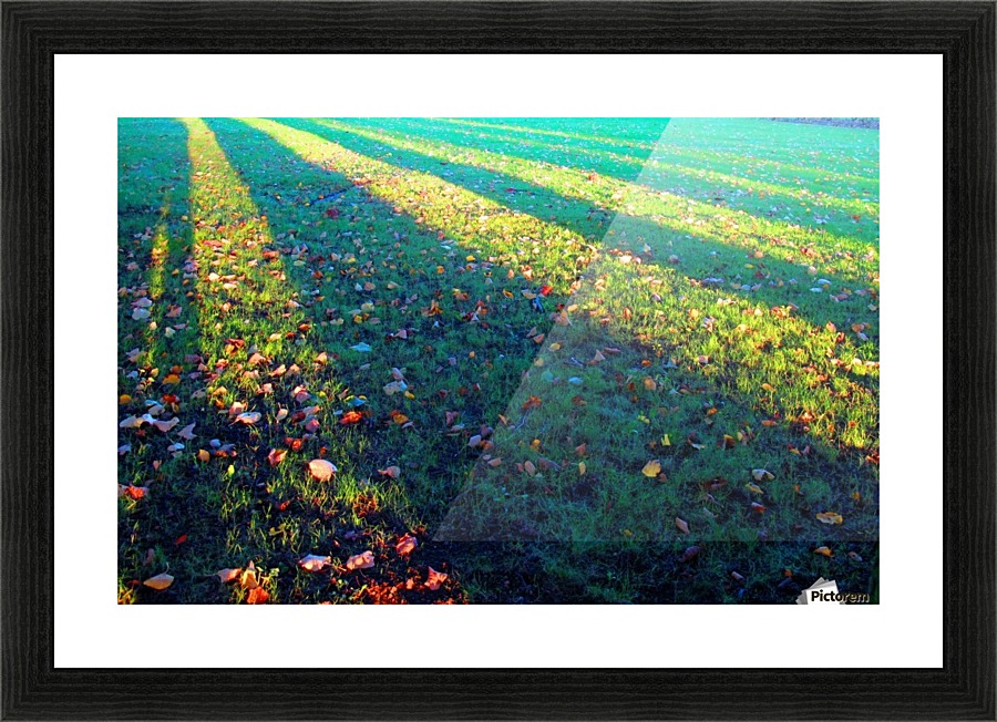 Autumnal lines Picture Frame print