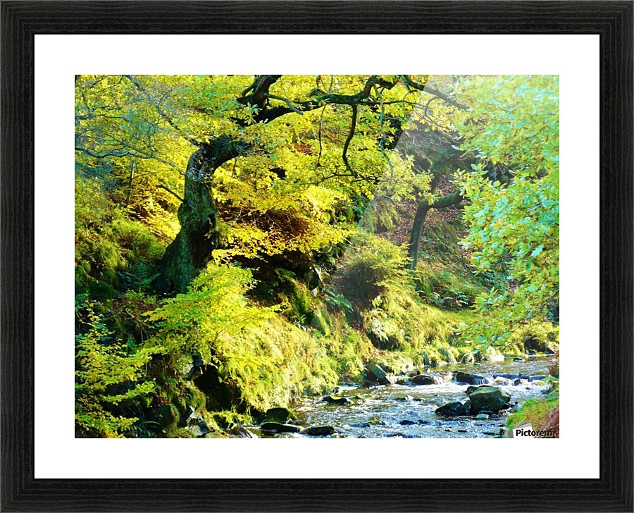 Autumnal stream Picture Frame print