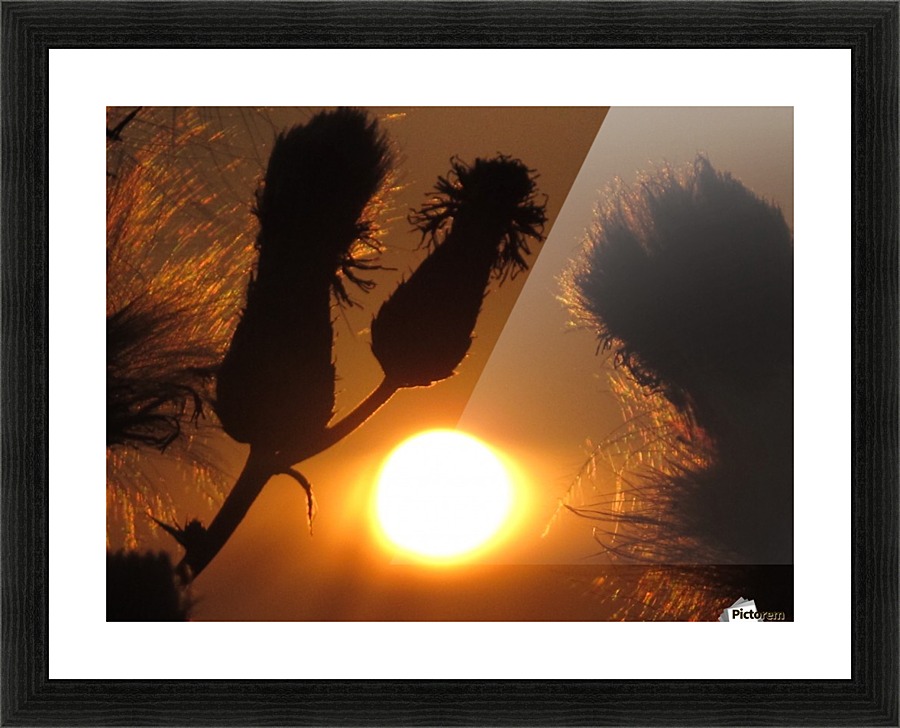 Weed sunset Picture Frame print