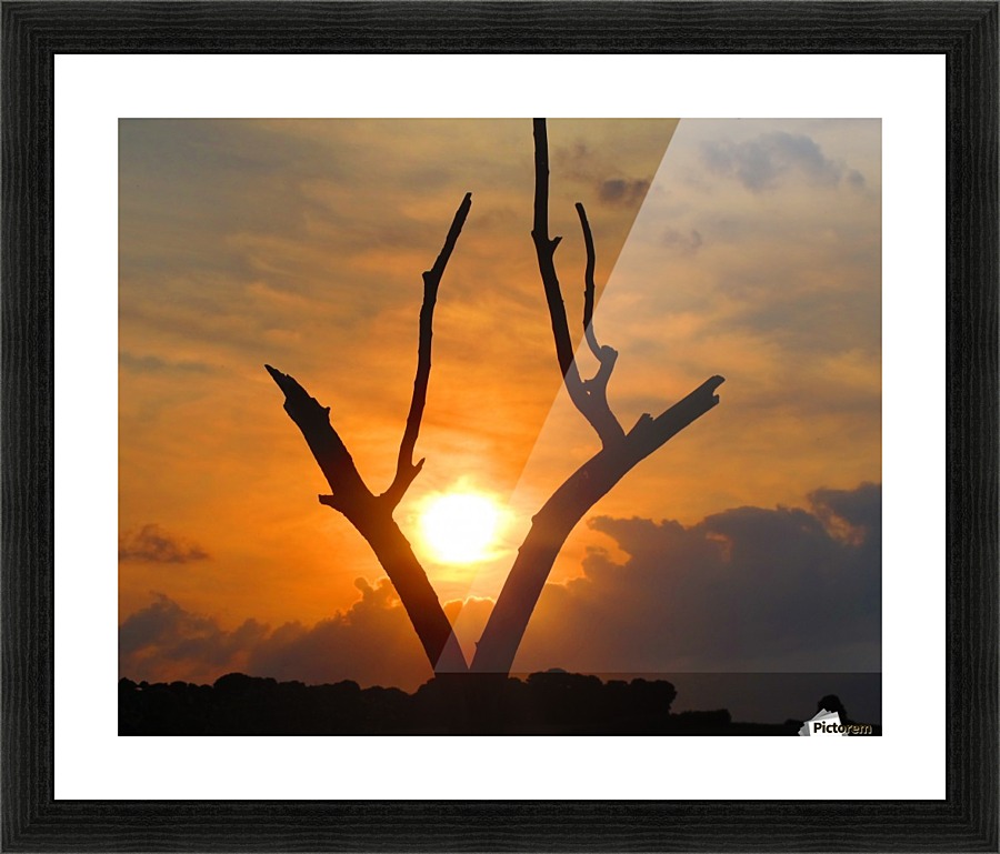 The eye of..... Picture Frame print