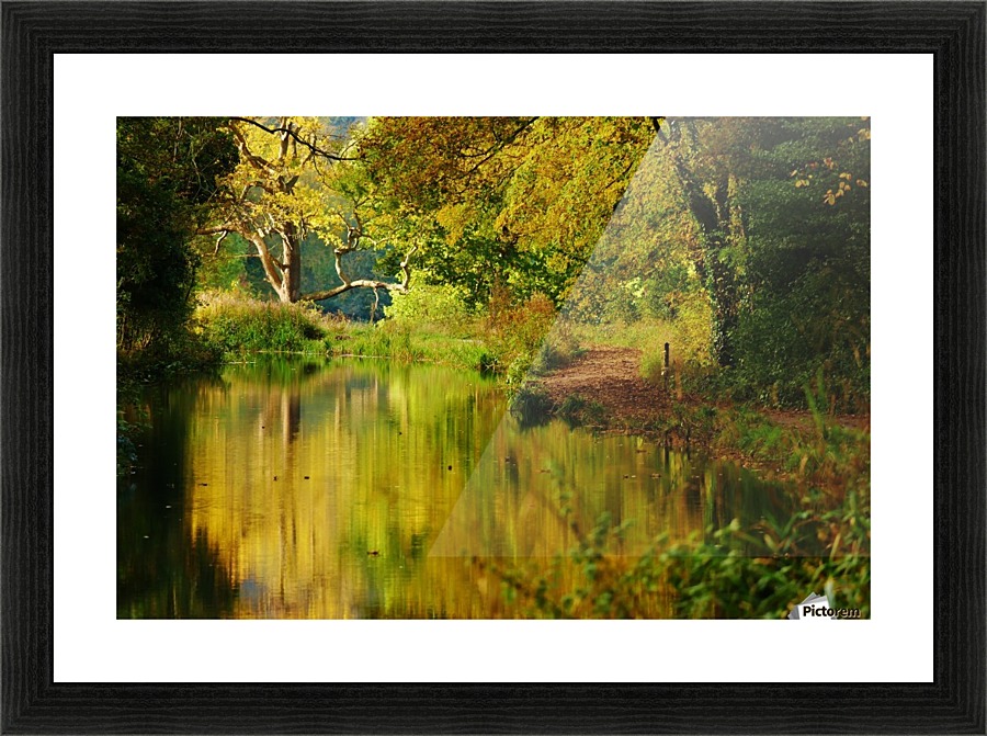Autumn canal Picture Frame print