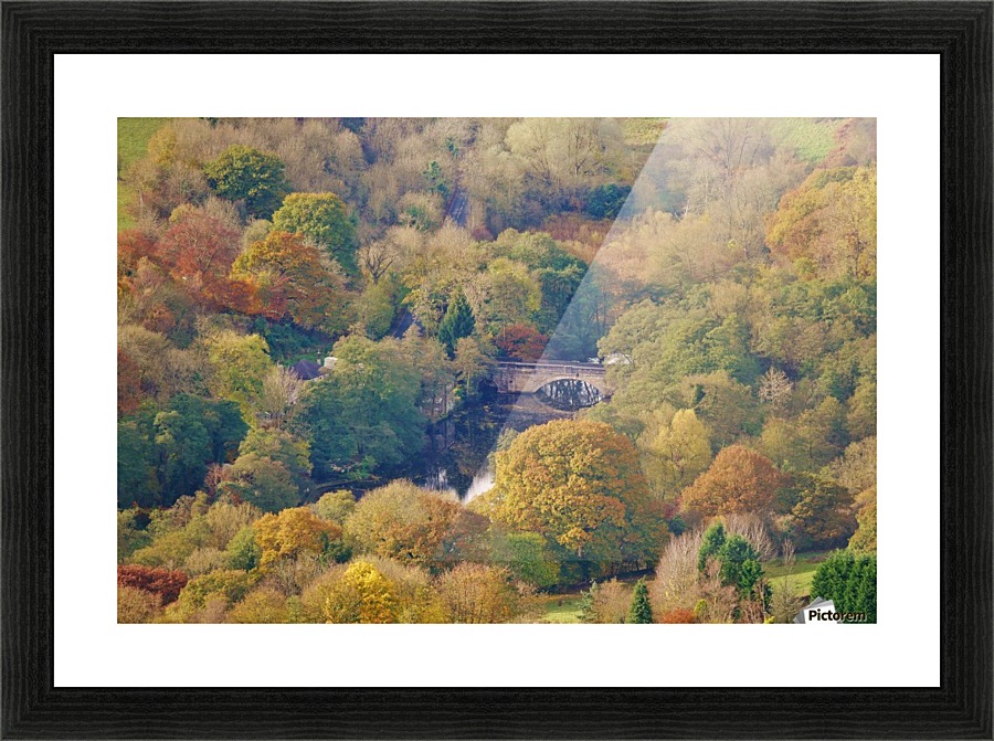 Autumnal bridge Picture Frame print