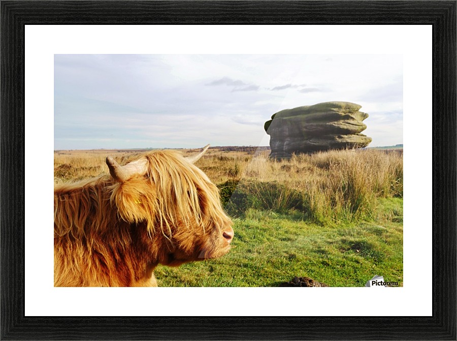 Head to head Picture Frame print