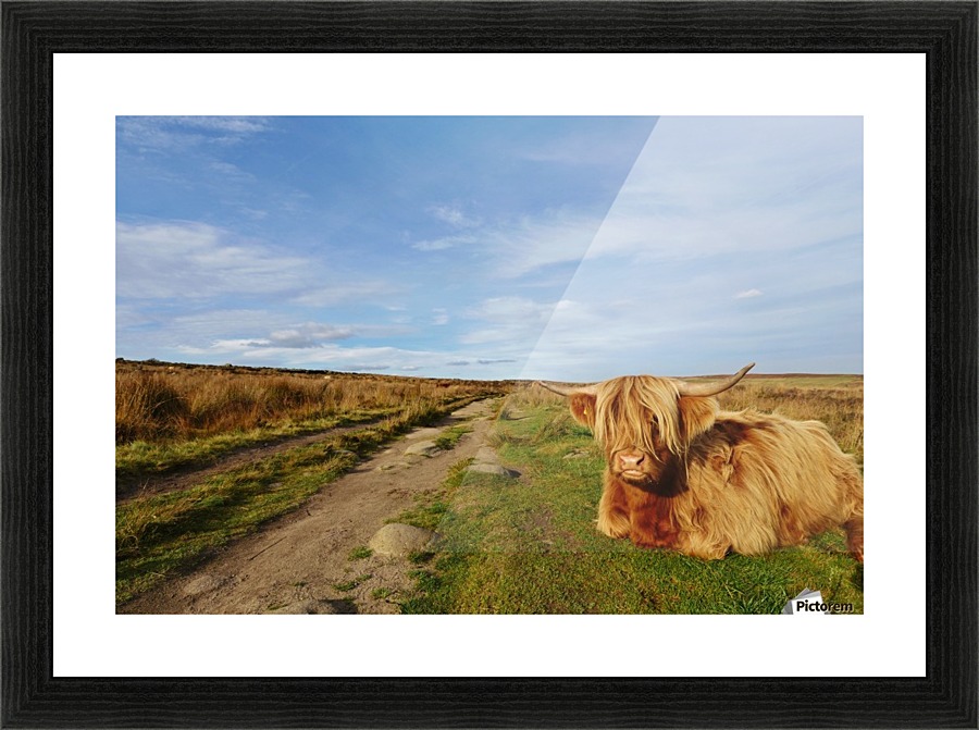 Path guard Picture Frame print