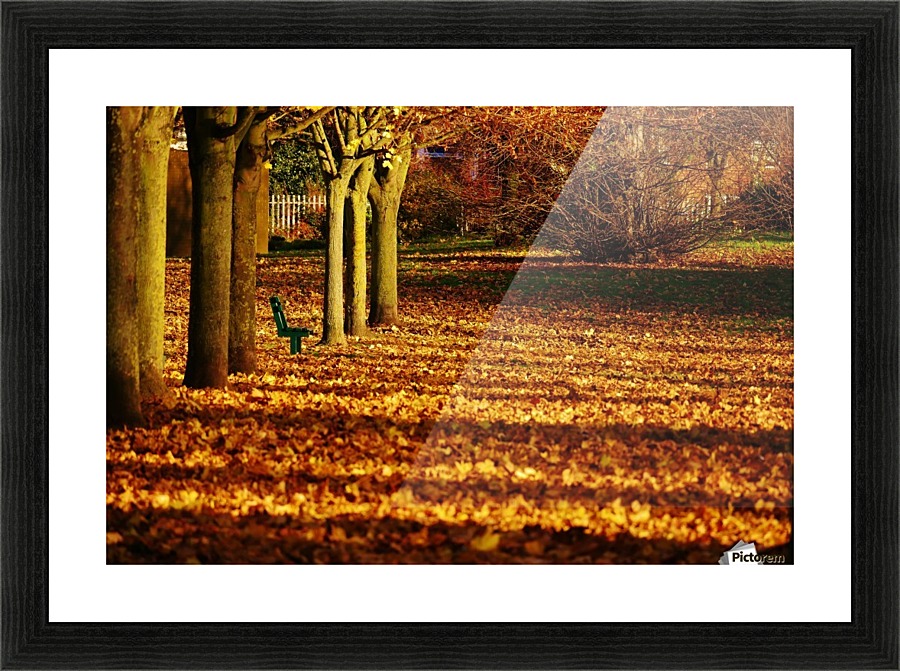 Autumn seat Picture Frame print