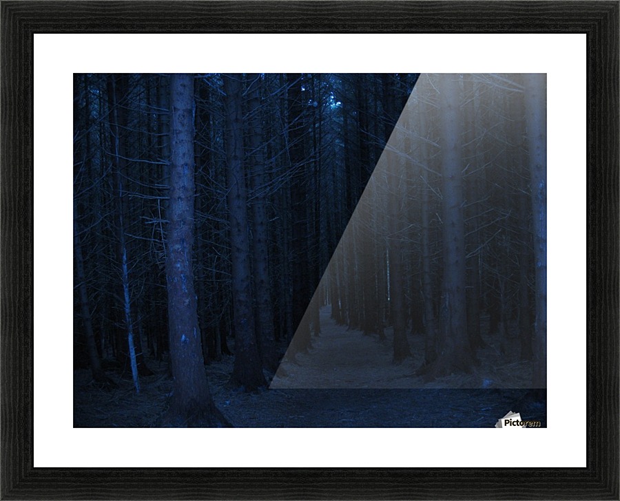 Spooky wood Picture Frame print