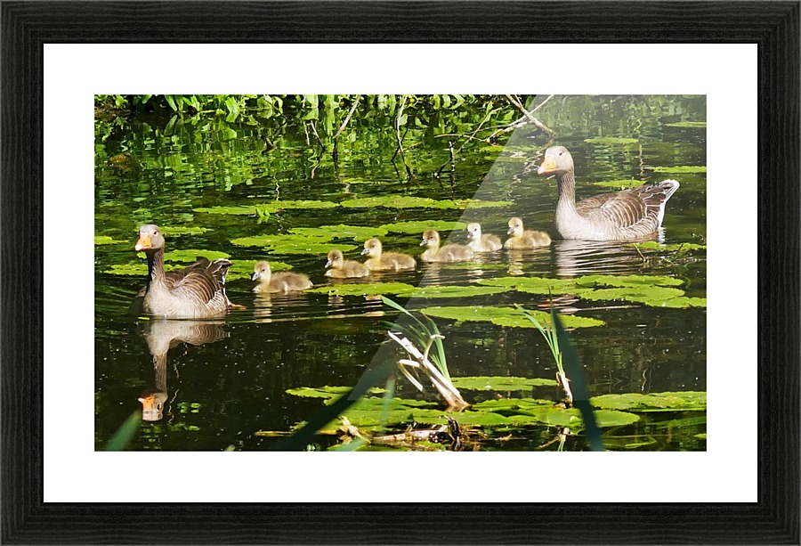 Keep inline Picture Frame print