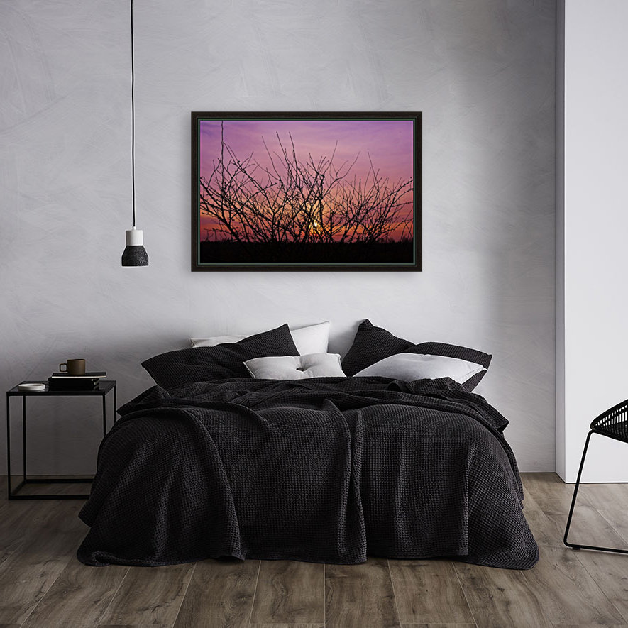 Winter sunset twigs Reproduction