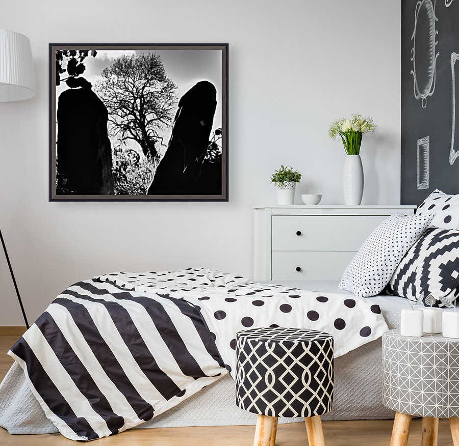 Framed exit Reproduction